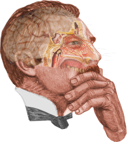 watson's brain_sinuses
